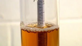 How to Use a Hydrometer for Homebrewing [upl. by Fitz207]