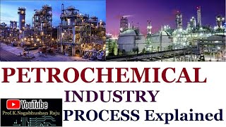 Petrochemical Industry  Process Overview  Detailed Explanation [upl. by Yssor97]