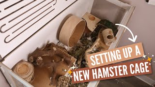 Setting Up A New Hamster Enclosure [upl. by Skiba]