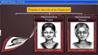 CBSE Class 12 Biology  3  Human Reproduction  Full Chapter  NCERT Animation  JEE NEET CBSE [upl. by Thea]