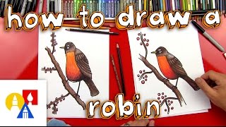 How To Draw A Robin Bird realistic [upl. by Erde]