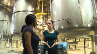 What Does a Chemical Engineer Do  Careers in Science and Engineering [upl. by Leilah45]