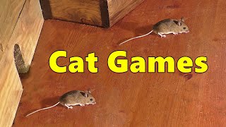 Cat Games Mouse 🐭 Mice Fun for Cats [upl. by Borchert]