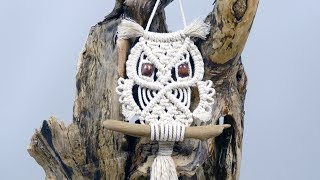 Macrame Owl Wall Hanging Tutorial For Beginners amp Beyond [upl. by Ahtela437]