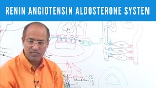 The Cell Cycle Control System Growth factors cyclins and cdks FLCancer03 [upl. by Ardnayek]