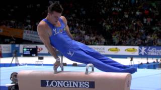 Mens Pommel Horse Final  2013 World Championships [upl. by Burdelle]