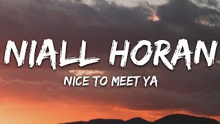 Niall Horan  Nice To Meet Ya Lyrics [upl. by Emee]