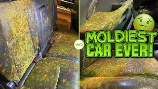 Deep Cleaning the MOLDIEST CAR EVER  Satisfying Interior amp Exterior BIOHAZARD Car Detailing [upl. by Hewie]