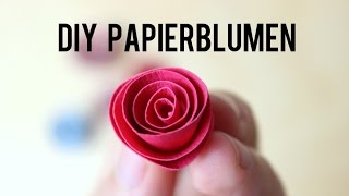 DIY Papierblumen ganz einfach selbst basteln  Anleitung [upl. by Netsrejk69]