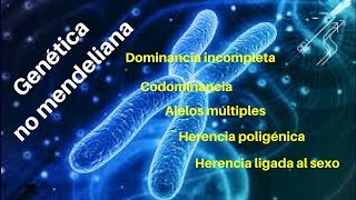 GENÉTICA NO MENDELIANA Dominancia incompleta codominancia alelos múltiples [upl. by Gayle]