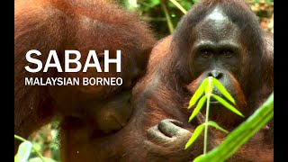 Sabah Malaysian Borneo 2020 [upl. by Jorry]