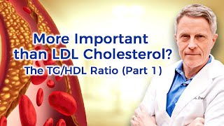 More Important than LDL Cholesterol The TGHDL Ratio Part 2 [upl. by Brick]