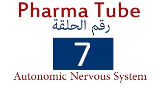 Pharma Tube  7  ANS  1  Sympathetic and Parasympathetic Part I HD [upl. by Bahner]