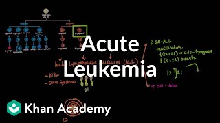 Acute leukemia  Hematologic System Diseases  NCLEXRN  Khan Academy [upl. by Weitman655]