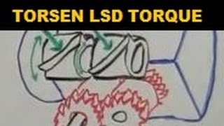 Torsen LSD  Torque Transfer  Explained [upl. by Nappy403]