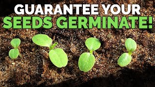 How to Guarantee Seed Germination With Math [upl. by Anelleh]