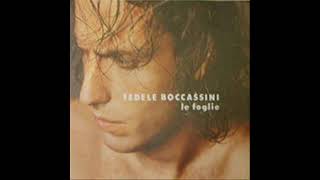 Fedele BoccassiniLe Foglie 1995 [upl. by Nemaj]