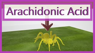 Arachidonic Acid Pathway Mnemonic [upl. by Four]