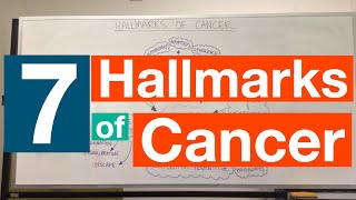 Hallmarks of Cancer  Pathophysiology [upl. by Ykceb968]