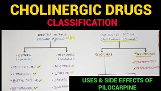 Autonomic Pharmacology  4  Cholinergic Drugs Classification  EOMS [upl. by Leuams]