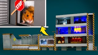 Cute Hamster In A Cardboard Shelter With Entertainment [upl. by Halda747]