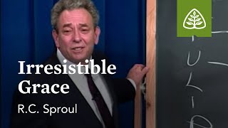 Irresistible Grace What is Reformed Theology with RC Sproul [upl. by Norrv]