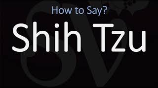 How to Pronounce Shih Tzu Dog CORRECTLY [upl. by Oicram594]