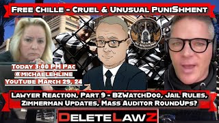 Free Chille DeCastro 9 Lawyer Reaction Cruel amp Unusual Punishment Judge Update Mass Auditor Roundup [upl. by Auoz]