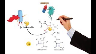 Pharmacology – ANTIBIOTICS – CELL WALL amp MEMBRANE INHIBITORS MADE EASY [upl. by Drofhsa349]