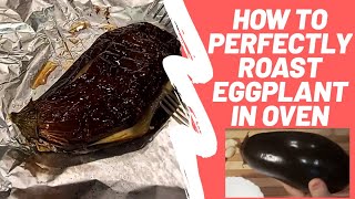 How to Roast Aubergine Eggplant Perfectly in Oven  The Speed Cook [upl. by Revkah438]