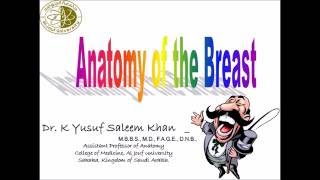 Anatomy of the BREAST  MAMMARY GLAND  Dr Yusuf [upl. by Ephrayim]