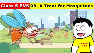 Class 5 Evs chapter 8  A Treat for Mosquitoes  Class 5 Evs  a treat for mosquitoes [upl. by Kayla21]