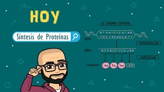 Síntesis de proteínas [upl. by Naloc]