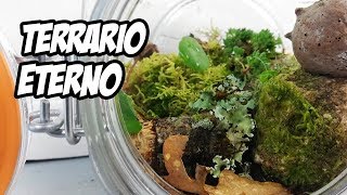 Cómo Hacer un TERRARIO ETERNO 🌱  Eternal Terrarium  La Huerta de Ivan [upl. by Schiro]