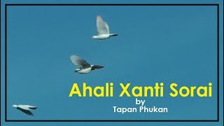 Uri Uri jai Ahali Xanti Sorai by Tapan Phukan [upl. by Irrehs]