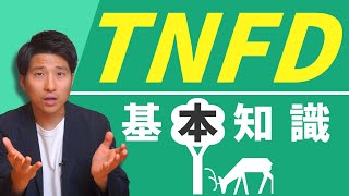 TNFDとは？TCFDとの違いも解説【初心者向け】 [upl. by Miehar160]