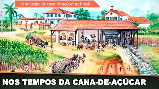 BRASIL NOS TEMPOS DA CANADEAÇÚCAR [upl. by Ahto]