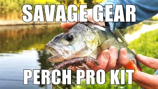 Review ESSENTIAL Perch Lures Savage Gear Perch Pro Kit [upl. by Eidoow673]