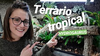 Cómo hacer un TERRARIO TROPICAL con PLANTAS [upl. by Nahtannoj819]