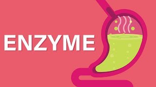 What are Enzymes [upl. by Fannie]