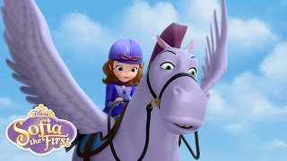 The Rescue  Sofia the First  disneyjr [upl. by Atterual]