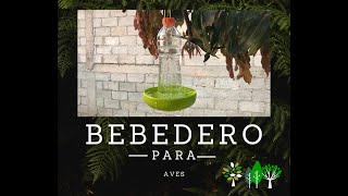 Bebedero para aves 💧🐦  Ecoactívate [upl. by Evans]