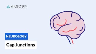 Gap Junctions Intercellular Communication [upl. by Serena805]