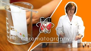 Chromatography  GCSE Science Required Practical [upl. by Nelehyram410]