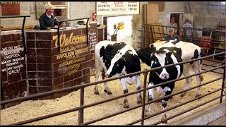 Buying and Selling at Livestock Auctions [upl. by Robin2]