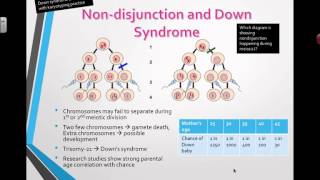 Nondisjunction and Down Syndrome 2016 IB Biology [upl. by Cornew]