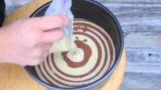 How to Zebra Cake [upl. by Josselyn]