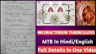 Micobacterium tuberculosis  Mycobacterium tuberculi microbiology [upl. by Aliuqaj]