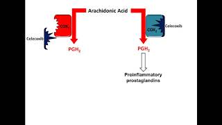 Celecoxib NSAID Mechanism of Action [upl. by Gnel]