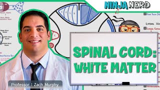 Neurology  Spinal Cord White Matter Structure amp Function [upl. by Arika]